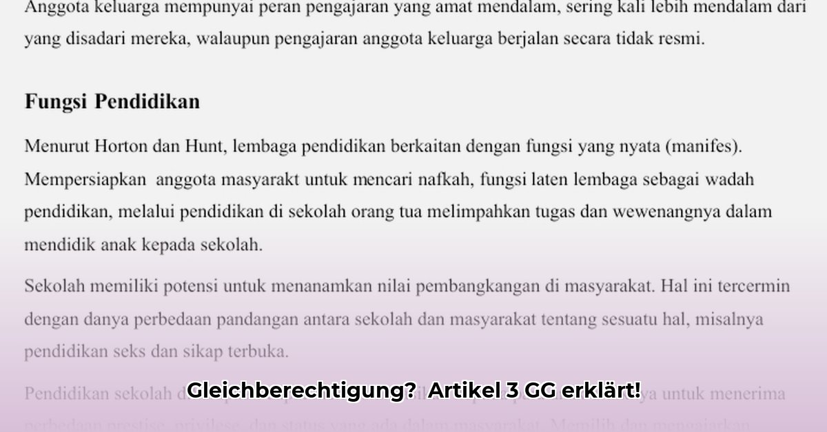 artikel-3-grundgesetz